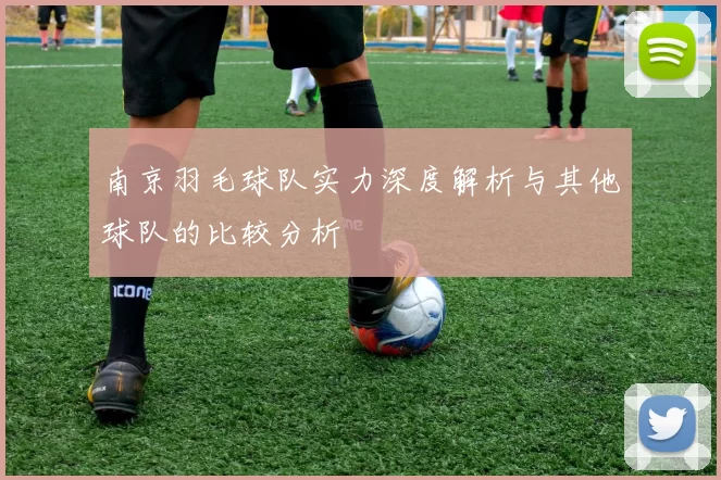 南京羽毛球队实力深度解析与其他球队的比较分析