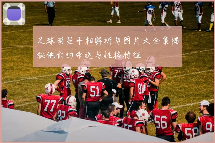 足球明星手相解析与图片大全集揭秘他们的命运与性格特征