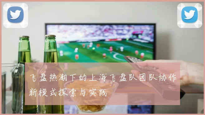 飞盘热潮下的上海飞盘队团队协作新模式探索与实践