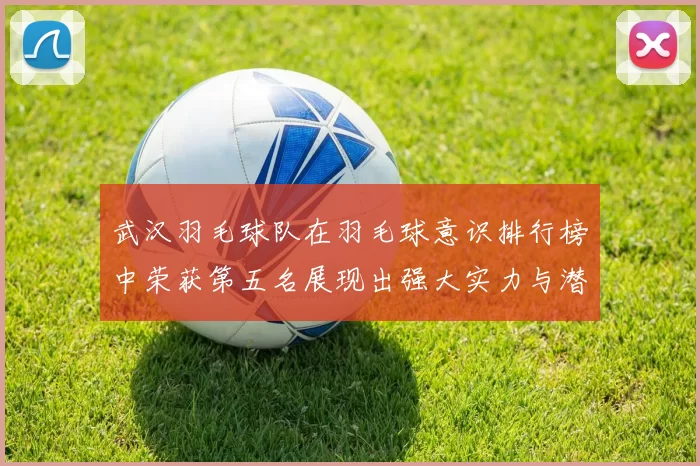 武汉羽毛球队在羽毛球意识排行榜中荣获第五名展现出强大实力与潜力