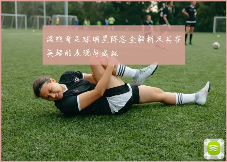 诺维奇足球明星阵容全解析及其在英超的表现与成就