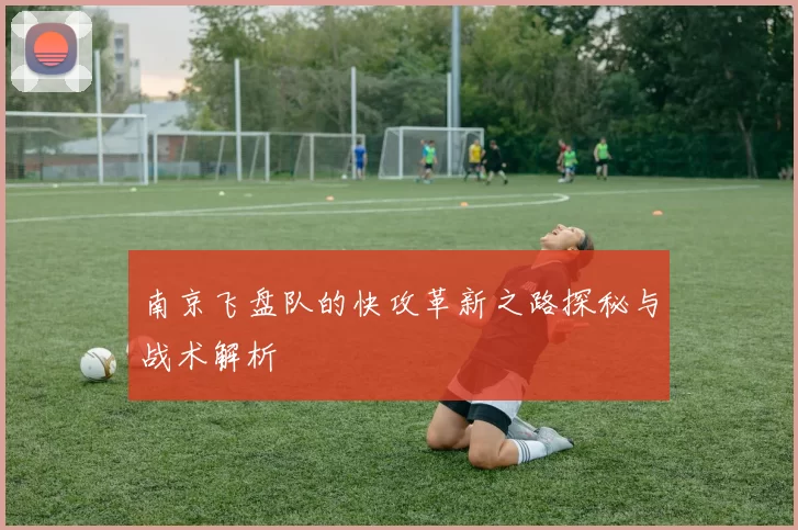 南京飞盘队的快攻革新之路探秘与战术解析