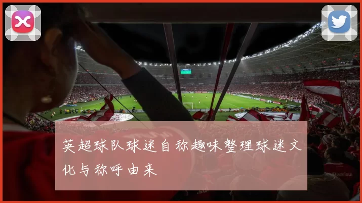 英超球队球迷自称趣味整理球迷文化与称呼由来