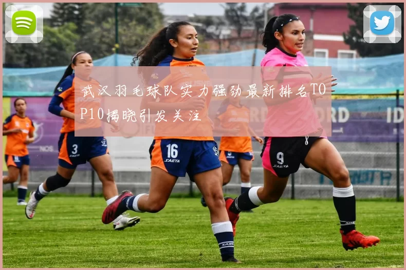 武汉羽毛球队实力强劲最新排名TOP10揭晓引发关注
