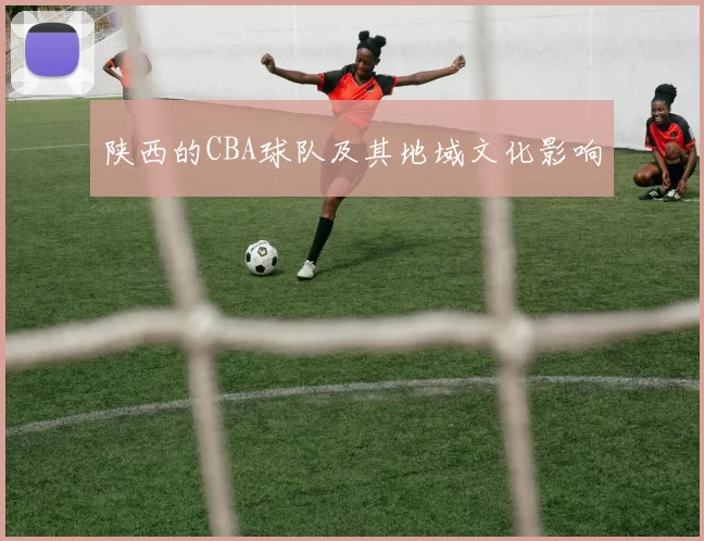 陕西的CBA球队及其地域文化影响