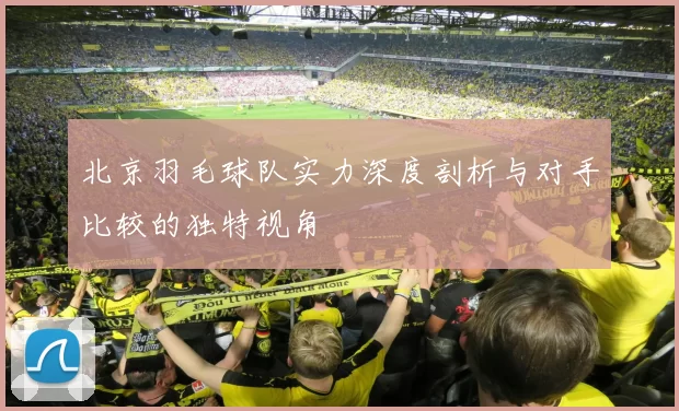 北京羽毛球队实力深度剖析与对手比较的独特视角