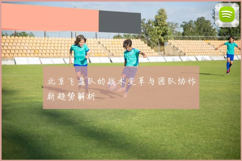 北京飞盘队的战术变革与团队协作新趋势解析
