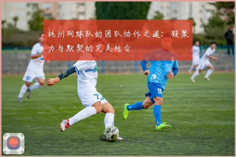 杭州网球队的团队协作之道：凝聚力与默契的完美结合