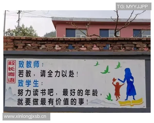 武汉乒乓球队的成长之路:一段激情与奋斗交织的纪实故事